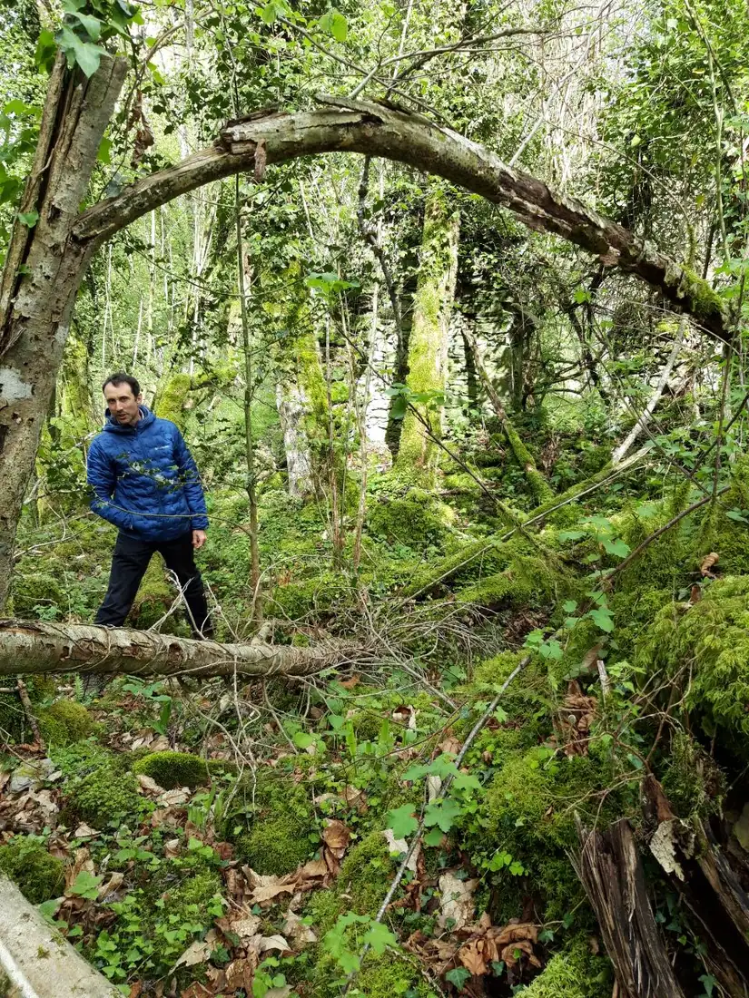 Gabriel en forêt, sous une arche de branches